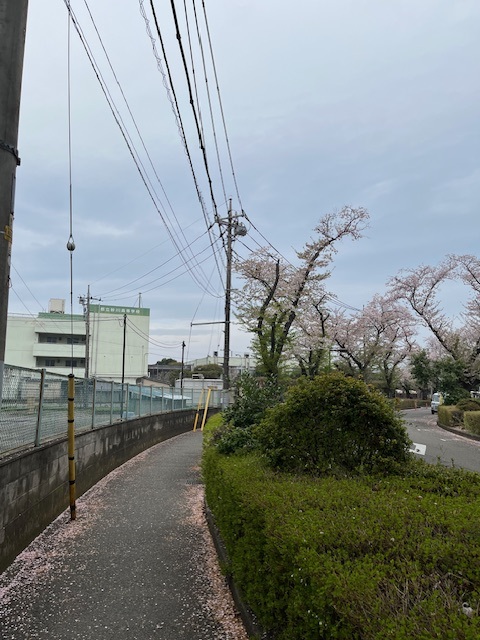 undefined - 2026-04-07T140120.225